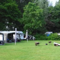 camping-de-paddestoel-mill-xroqg