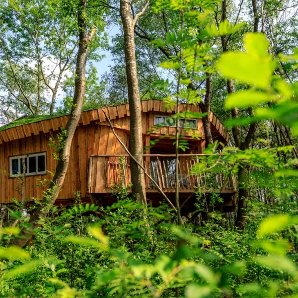 camping-de-reenwissel-hoogersmilde-axlng