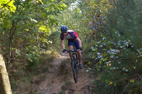camping-de-reenwissel-hoogersmilde-dufzc