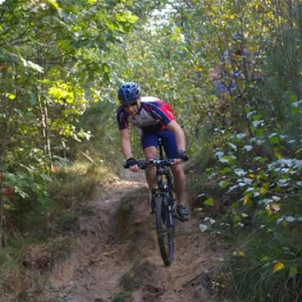 camping-de-reenwissel-hoogersmilde-dufzc