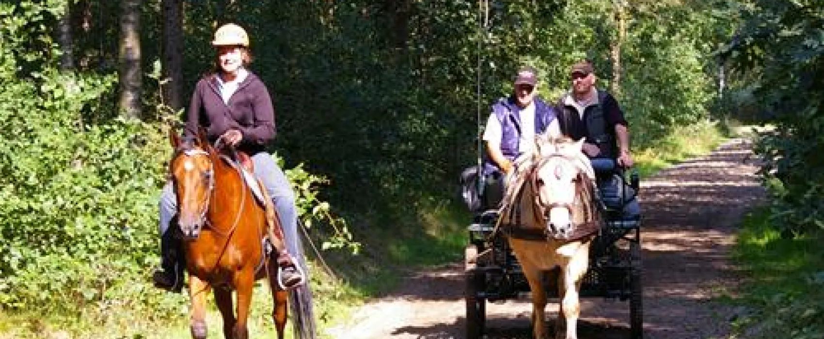Camping De Reeënwissel