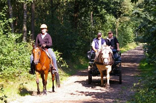 camping-de-reenwissel-hoogersmilde-kubdg