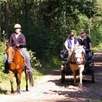 camping-de-reenwissel-hoogersmilde-kubdg