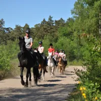 camping-de-reenwissel-hoogersmilde-rneed