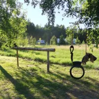 camping-tiveden-tived-f1o86