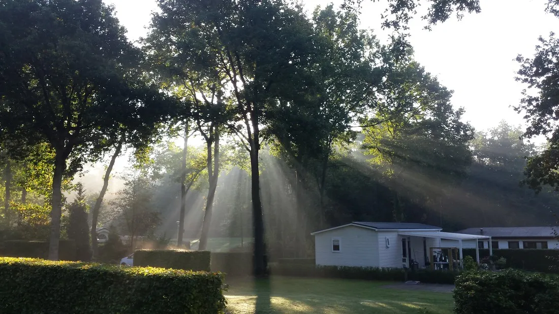 camping-de-bosrand-beekbergenlieren-3gz6u