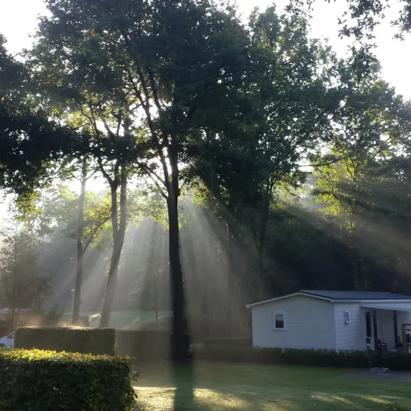 camping-de-bosrand-beekbergenlieren-3gz6u