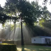 camping-de-bosrand-beekbergenlieren-3gz6u