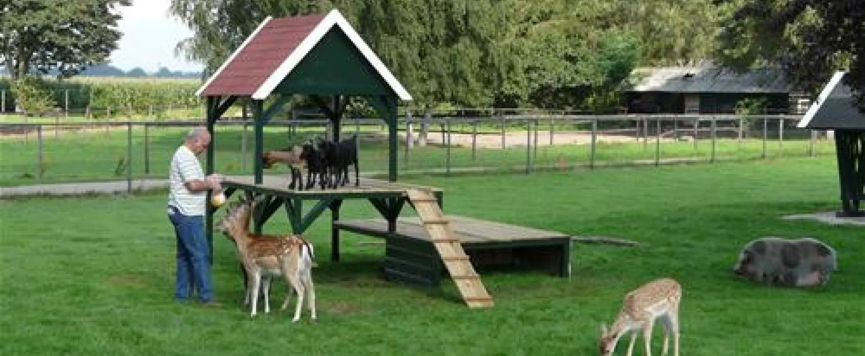 Camping De Bosrand