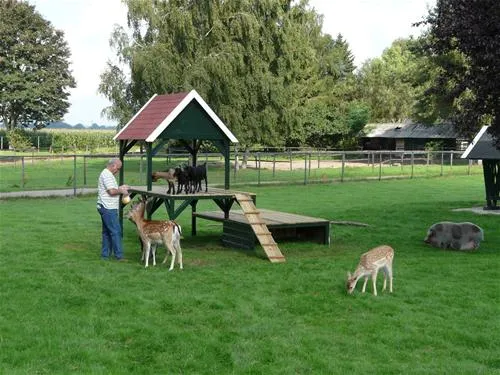 camping-de-bosrand-beekbergenlieren-pkxwx