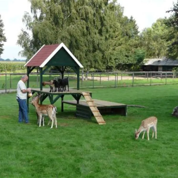 camping-de-bosrand-beekbergenlieren-pkxwx