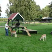 camping-de-bosrand-beekbergenlieren-pkxwx