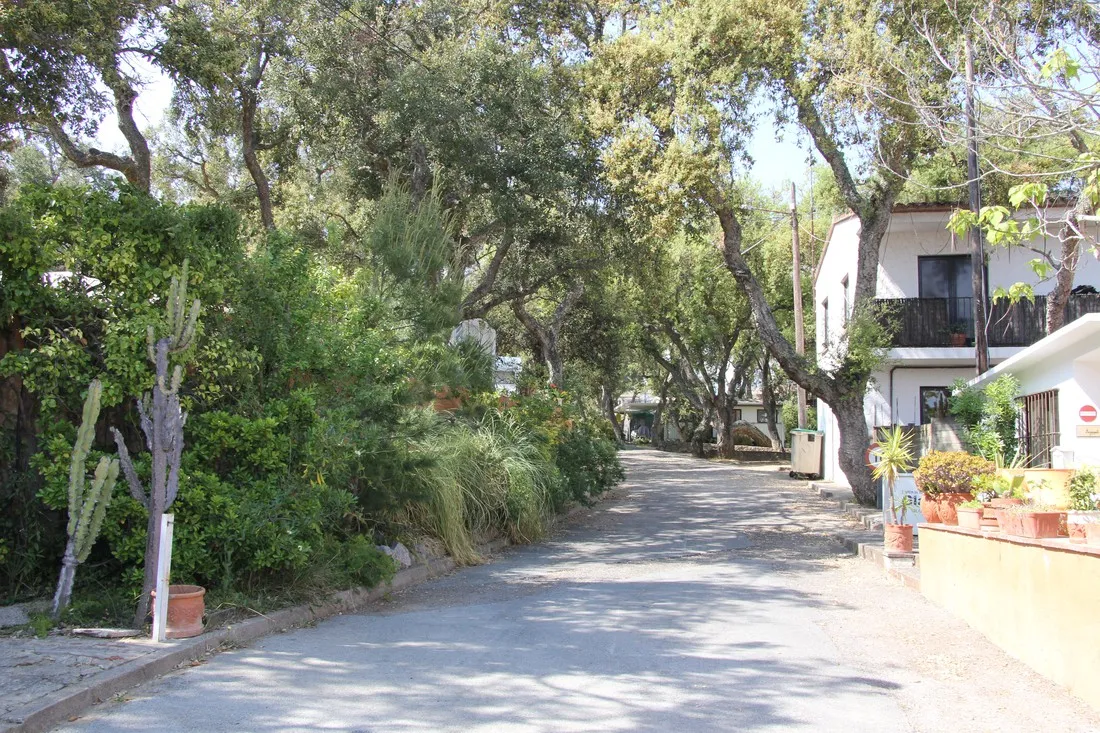 camping-moby-dick-palafrugell-4i84n