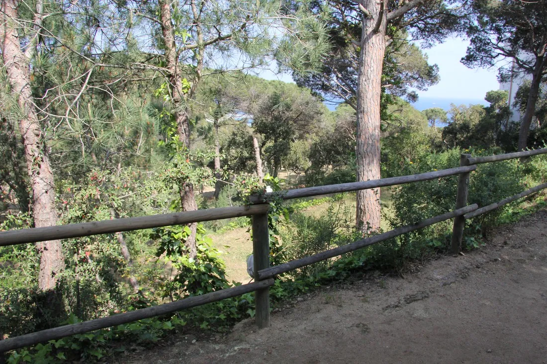 camping-moby-dick-palafrugell-9aokb
