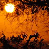 camping-moby-dick-palafrugell-mylme