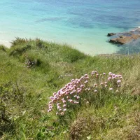 camping-le-ranch-le-rozel-jds7f