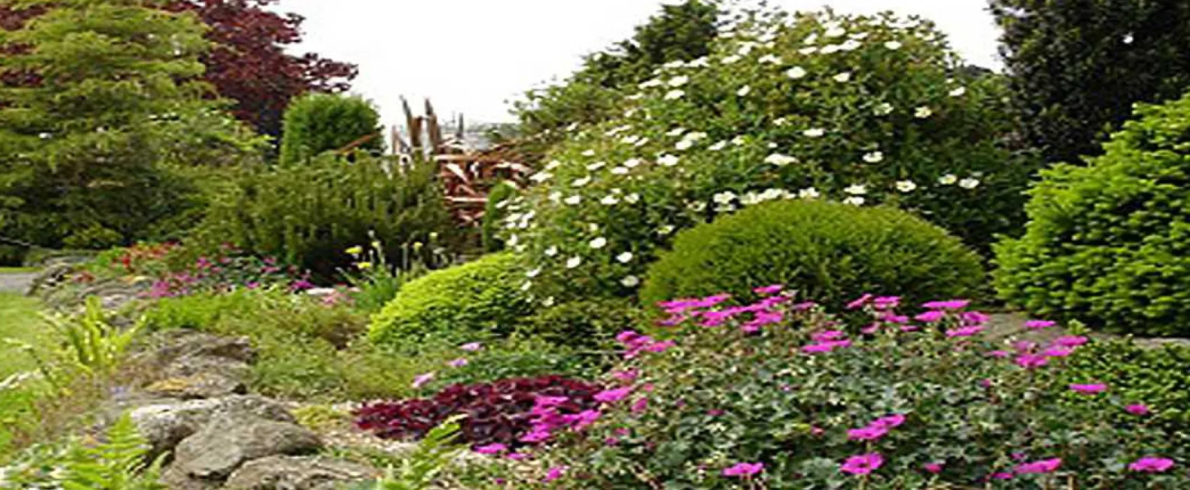 Fron Caravan Park