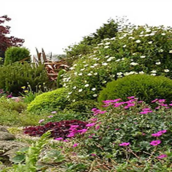 fron-caravan-camping-park-anglesey-tgowr