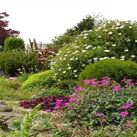 fron-caravan-camping-park-anglesey-tgowr