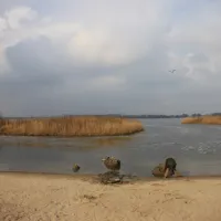 recreatieoord-veluwe-strandbad-elburg-die11