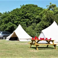 herston-caravan-and-camp-site-dorset-cecea