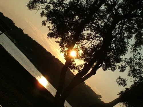 camping-vestar-rovinj-ioybo