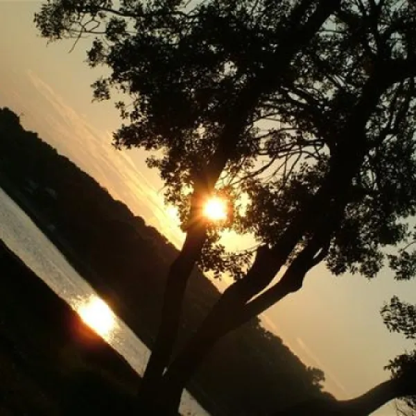 camping-vestar-rovinj-ioybo