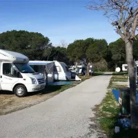 camping-la-buganvilla-marbella-fhvux