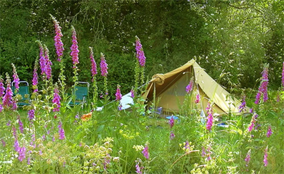 camping-la-chassagne-ronnet-lbpop