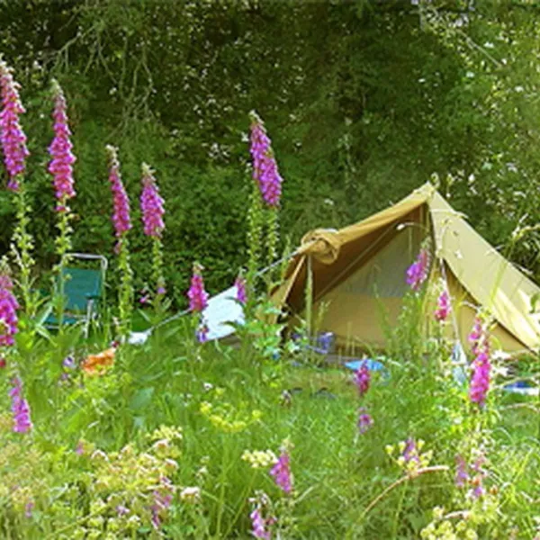 camping-la-chassagne-ronnet-lbpop