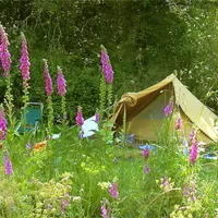 camping-la-chassagne-ronnet-lbpop