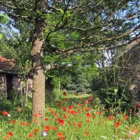 camping-la-chassagne-ronnet-oboum