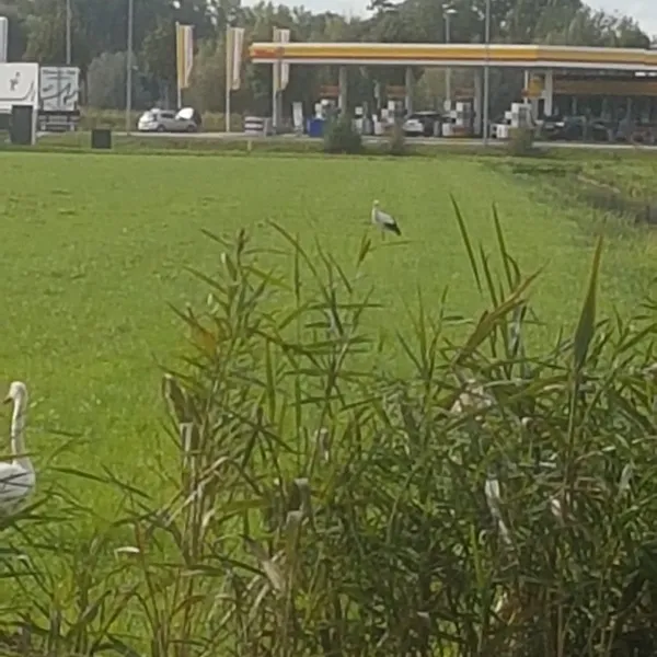 camping-gravingen-tienhoven-ut-lzoew