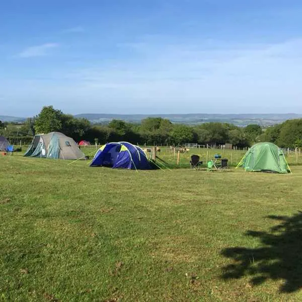 webbers-caravan-camping-park-exeter-oeuce