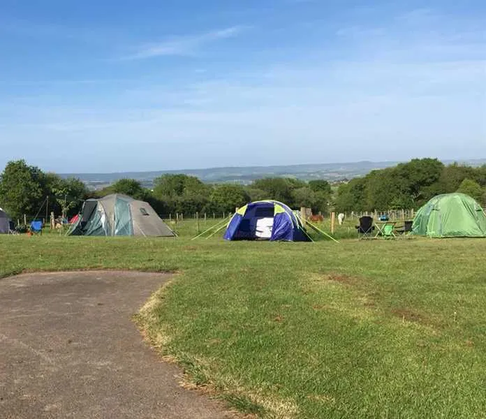 webbers-caravan-camping-park-exeter-prup9