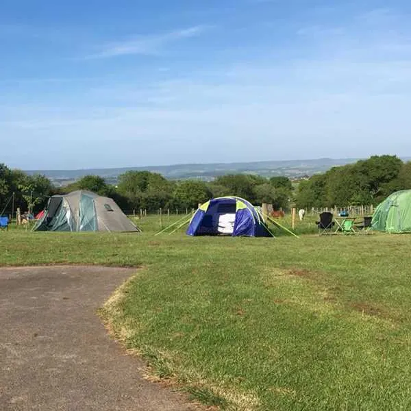 webbers-caravan-camping-park-exeter-prup9