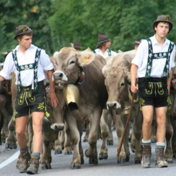 via-claudia-camping-lechbruck-7vwvz