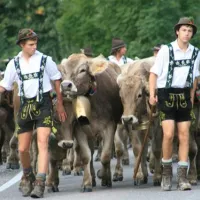 via-claudia-camping-lechbruck-7vwvz