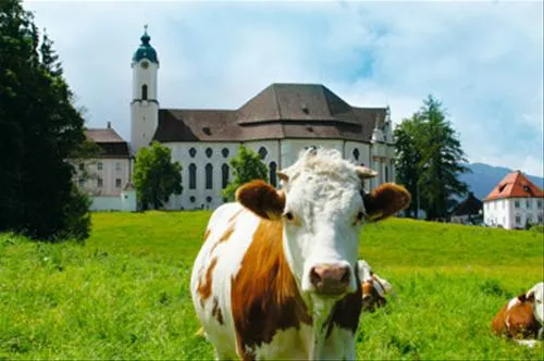 via-claudia-camping-lechbruck-scopa