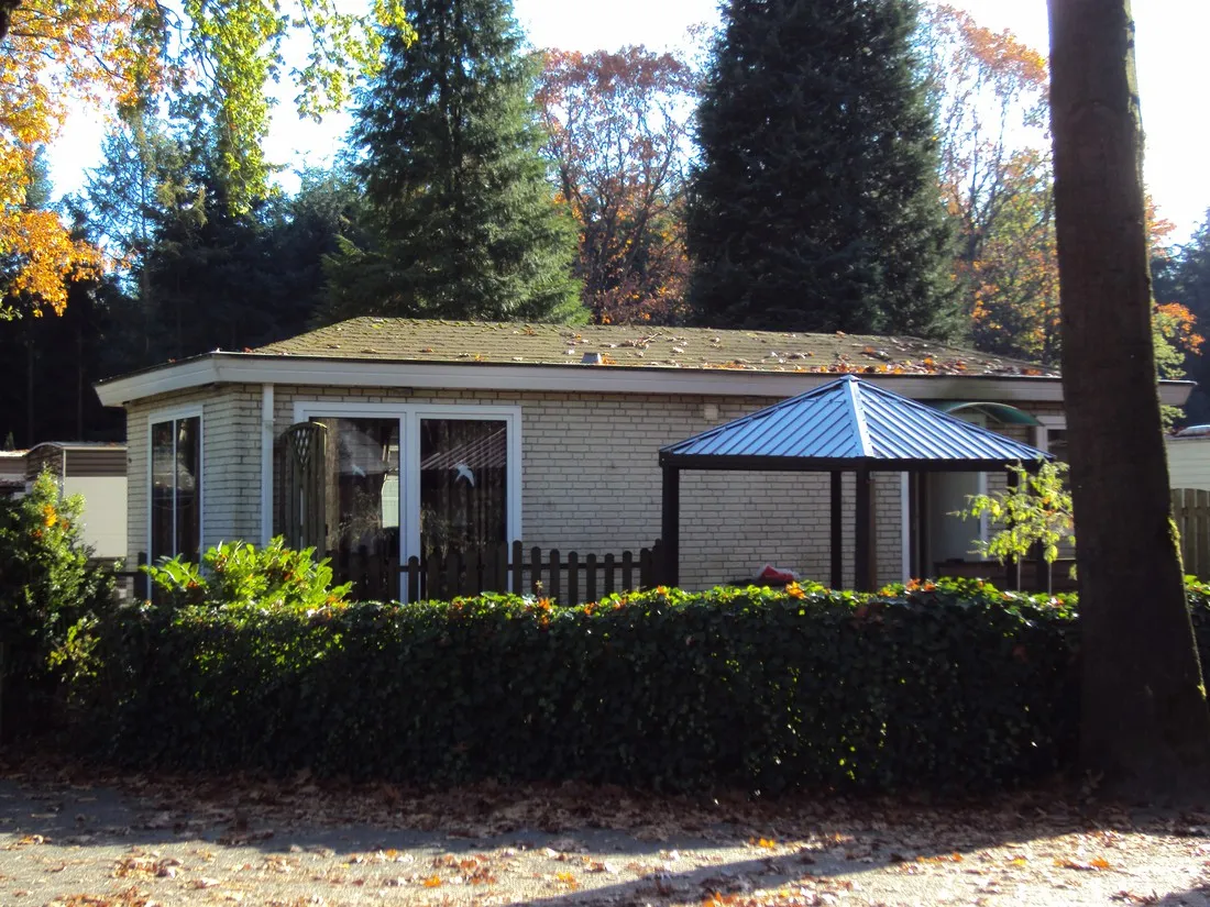kampeer-chaletpark-rustoordde-paddock-baarle-nassau-9kvlb
