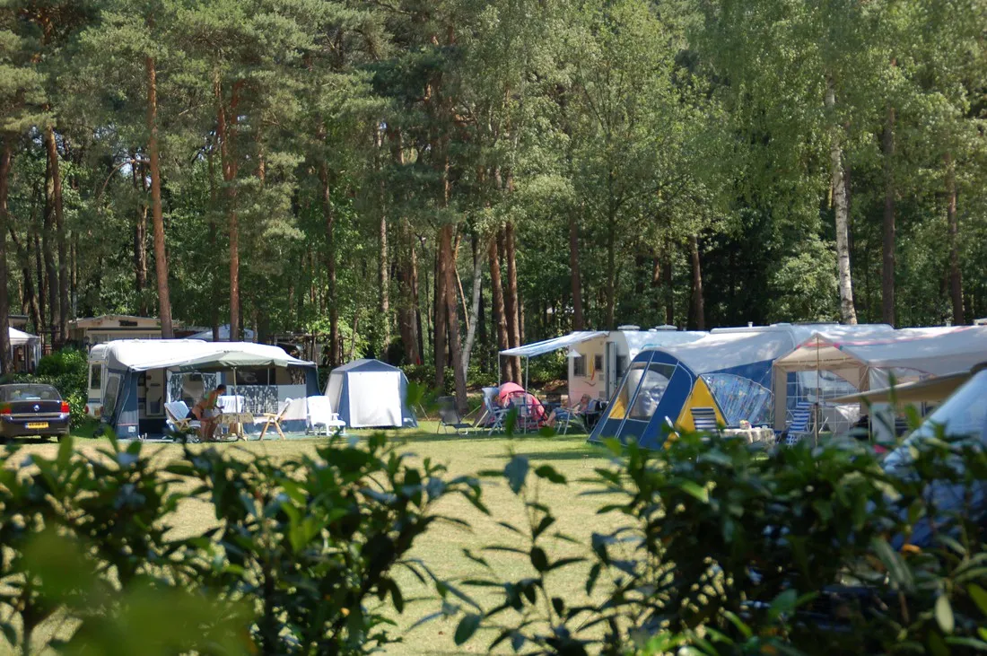 kampeer-chaletpark-rustoordde-paddock-baarle-nassau-de9y7