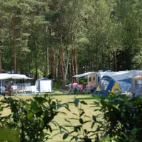 kampeer-chaletpark-rustoordde-paddock-baarle-nassau-de9y7