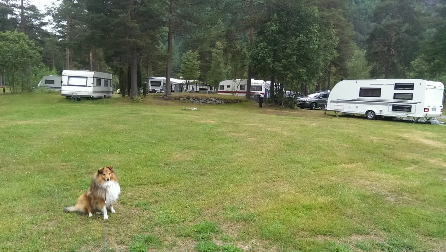gjra-camping-gjra-fhtg1