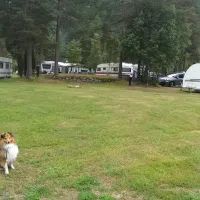 Gjøra Camping