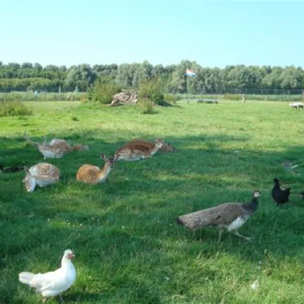Camping Van der Burgh