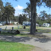 pomo-rv-park-campground-fort-bragg-qpd38