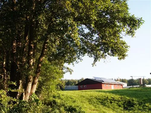 campingplatz-am-wangnitzsee-dsterforde-ywjuv