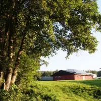 campingplatz-am-wangnitzsee-dsterforde-ywjuv