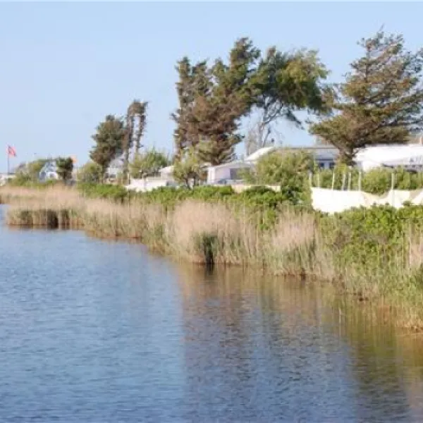 strandcamping-wallnau-fehmarn-zponj