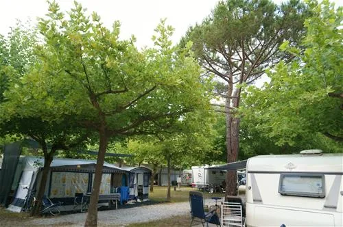 camping-dal-pino-marina-di-massa-3hb8h